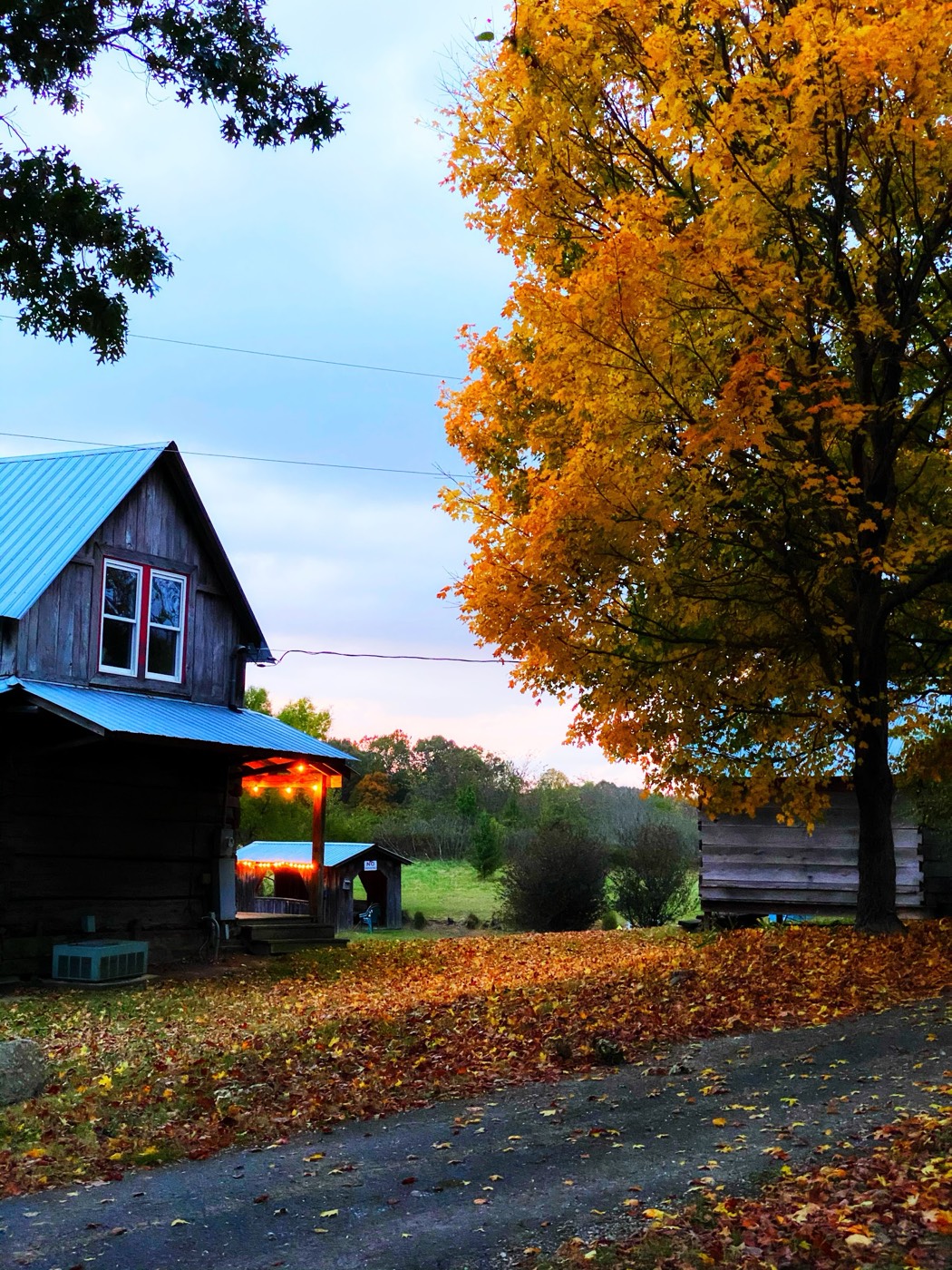 Cabin under bright fall leaves